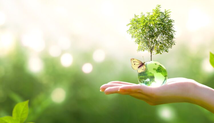 Sustainability Vision TSV2050/2030