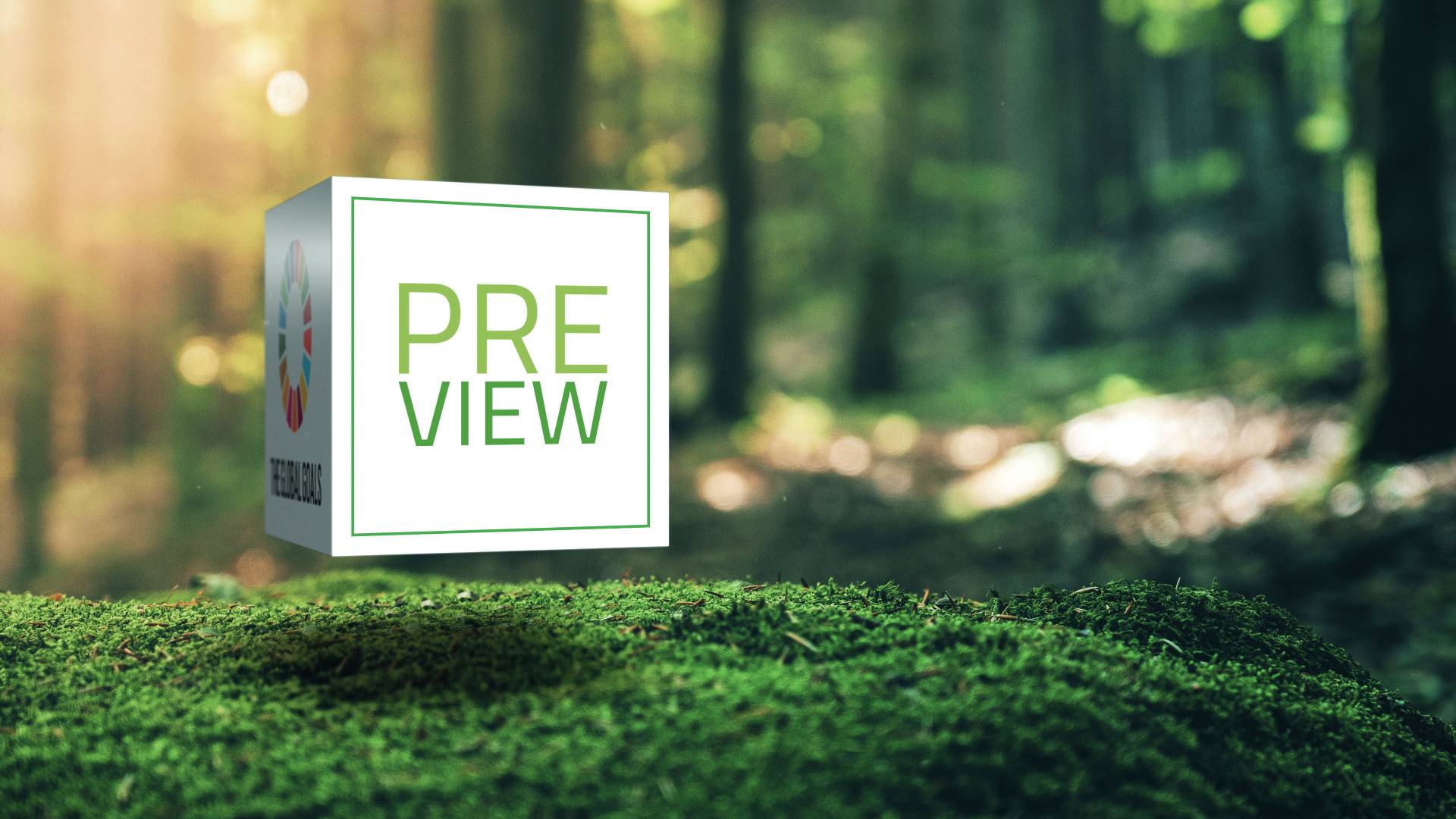 Bringing a varied selection of TPE