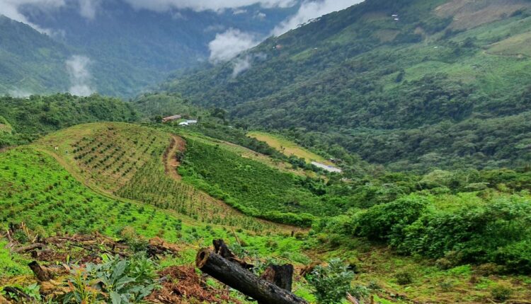 Westfalia’s site in Peru.
