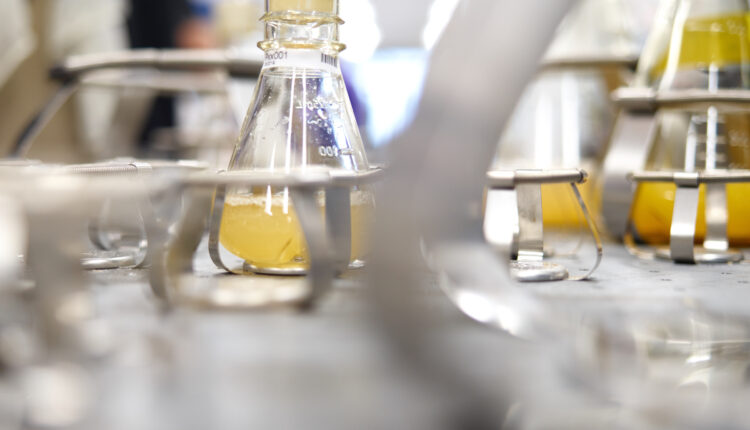 Global Clean-Tech Majors Bioweg and Ginkgo Bioworks to Combat Microplastic Pollution with Bio-Based Materials.